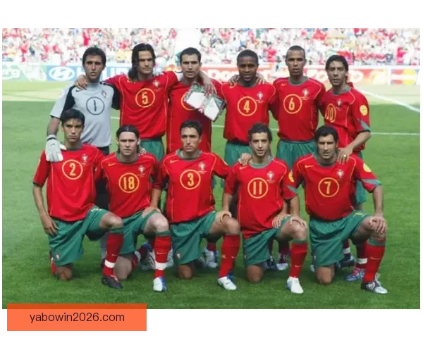 2026年世界杯参赛球队名单揭晓全球足球强队齐聚一堂争霸之战