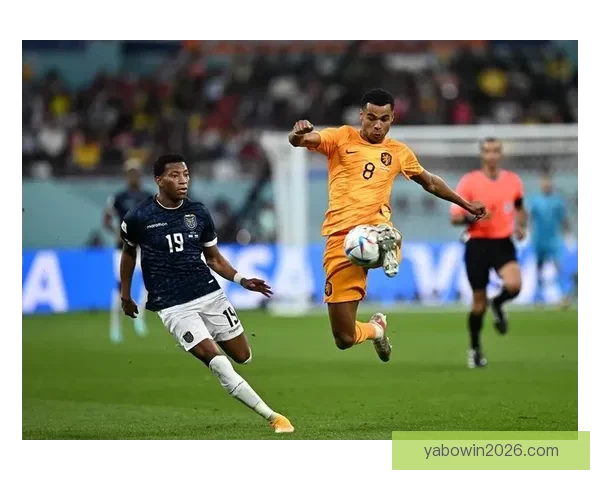 世界杯竞猜专家解析未来赛事走势，揭示热门球队胜负关键因素