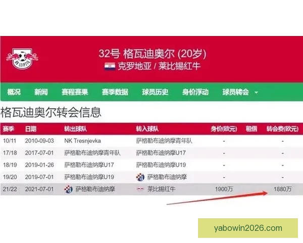 世界杯胜负竞猜攻略 全面解析如何精准预测赛果提高投注成功率